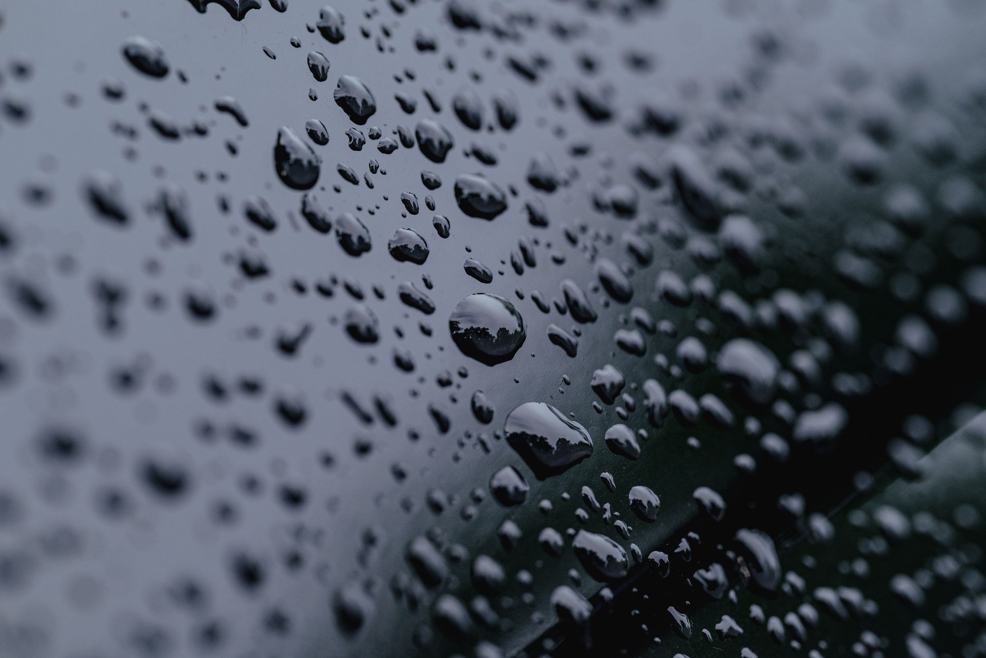 Waterdruppels die bol blijven staan op een gecoat, donker autopaneel